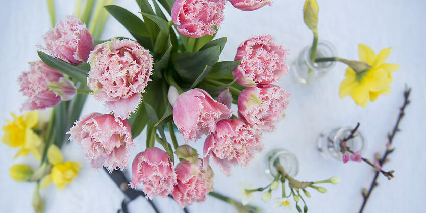 Velkommen lysere tider<br/> og v&aring;rblomster!