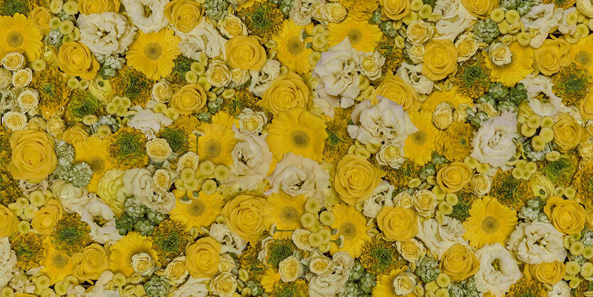 Registrer bankkortet ditt