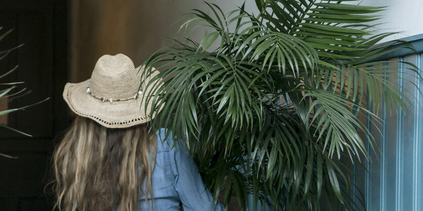 Hold plantene fine i ferien