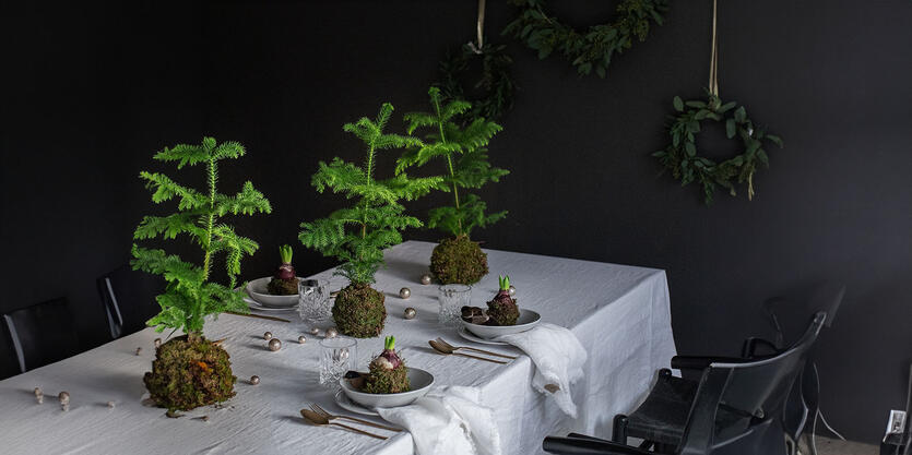 Tropisk gran &oslash;nsker rom med masse lys