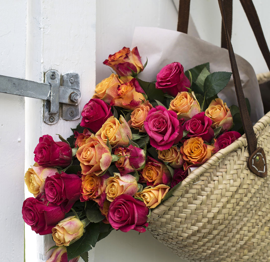 festroser-stell-av-roser-henger-i-kurv-paa-doer.jpg