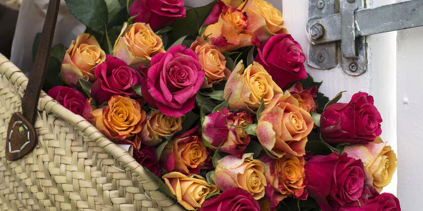 Festroser - romantiske<br/> roser til fest