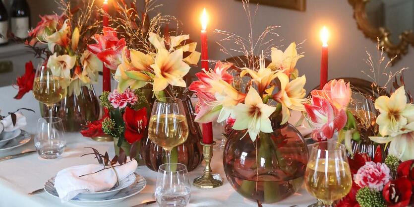 Slik får du svibler og amaryllis<br/> i vase til å vare