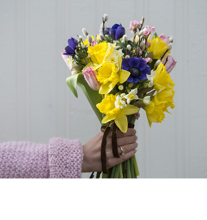 Vårblomster<br/> – fargerike gledesspredere