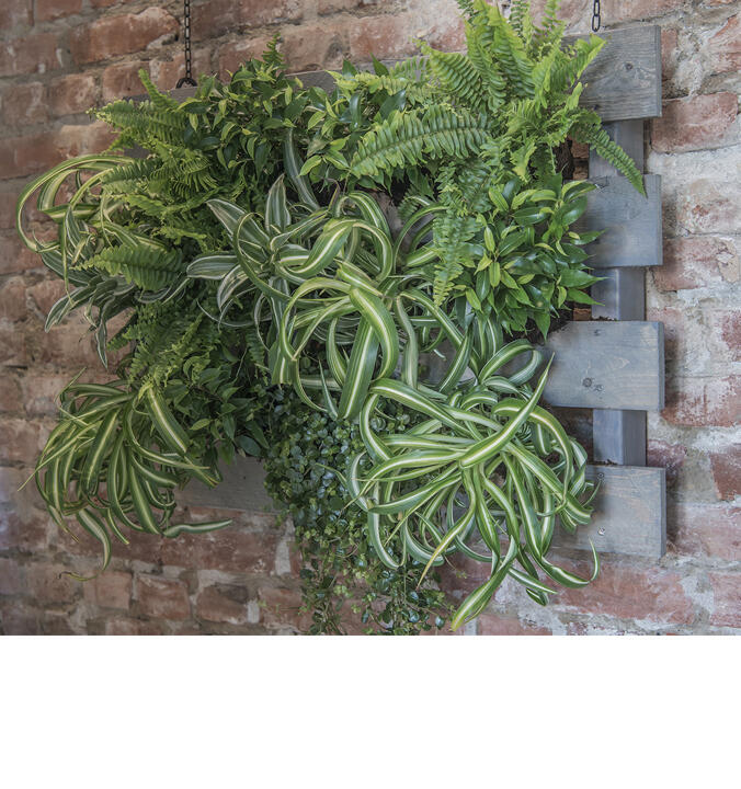 Trendy gr&oslash;nne planter