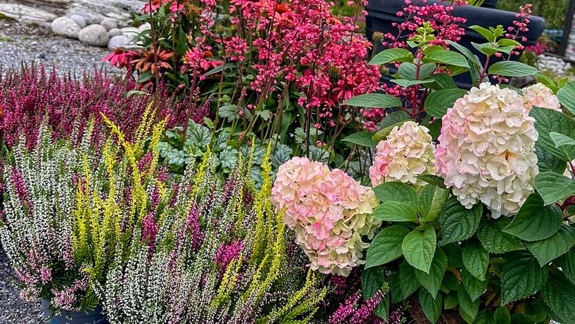 7 h&oslash;stplanter &aring; friske opp uteplassen med