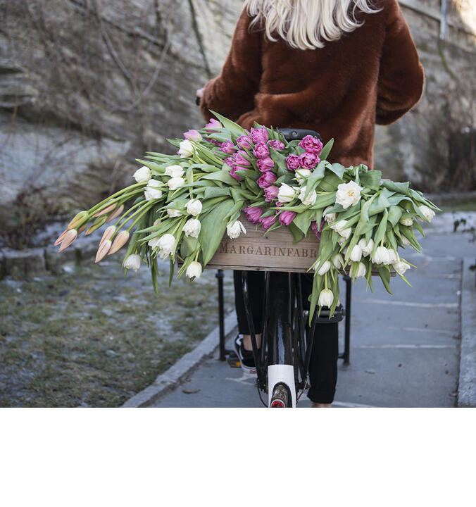 Interi&oslash;r-tulipaner