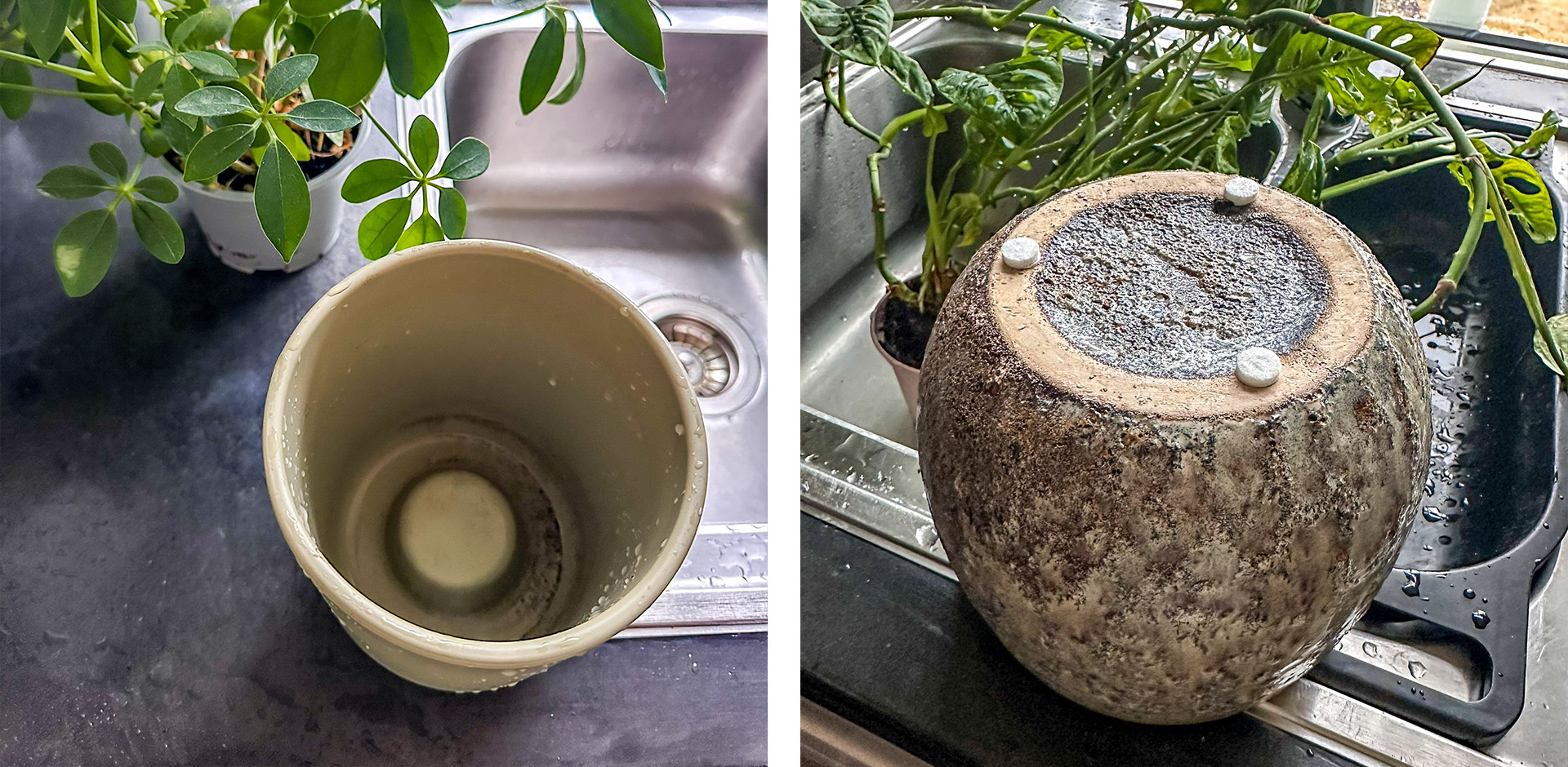 Orkidépotte og knotter under potte