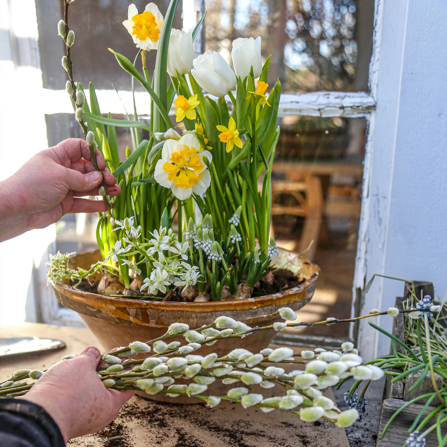 Plasser gåsunger i dekorasjonen