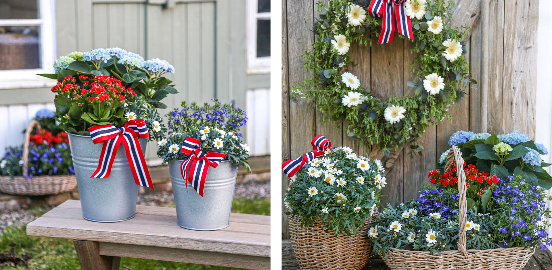 Sammenplantninger til 17. mai