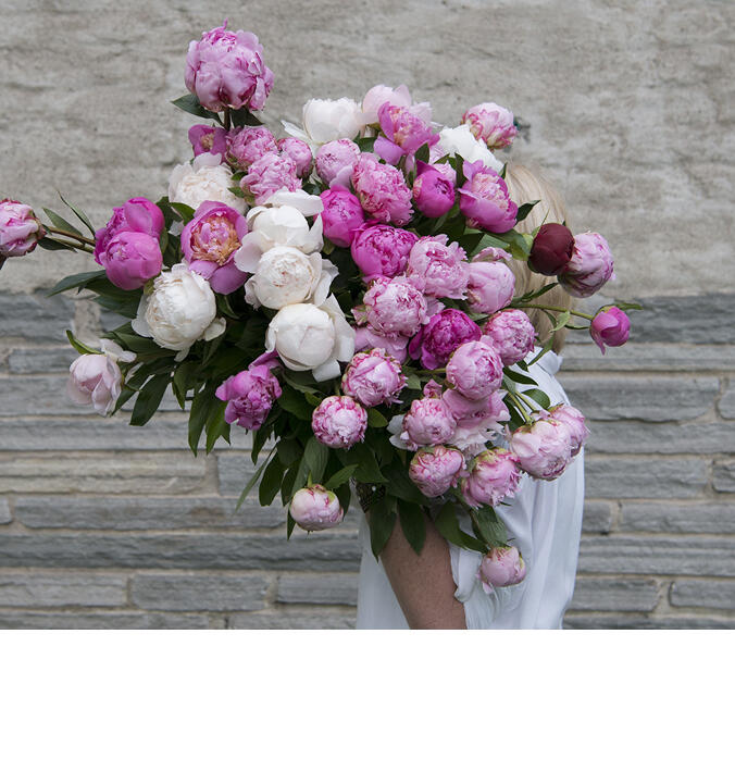 Vakre og glade sommerblomster