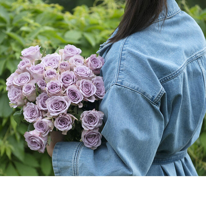 Alt om v&aring;r rosegaranti