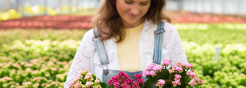Ildtopp – en populær fargeklatt