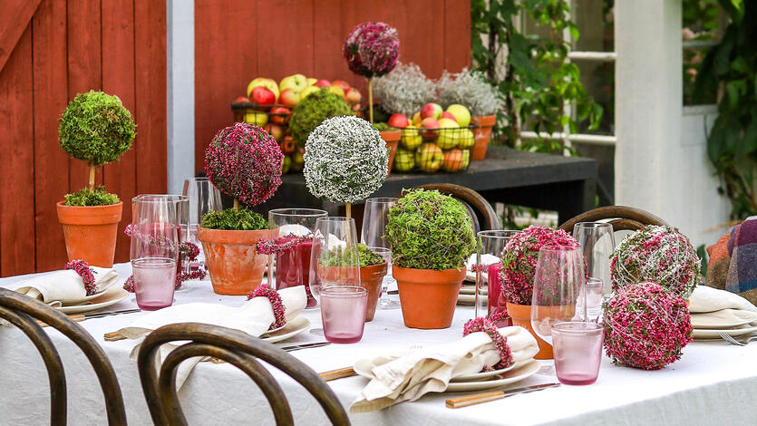 Slik lager du vakre h&oslash;stdekorasjoner med calluna-lyng