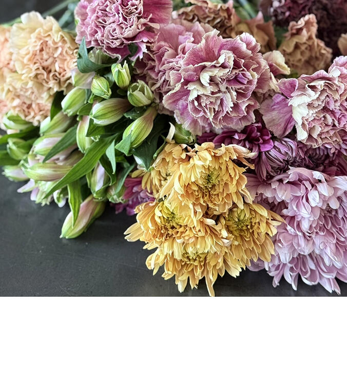 V&aring;rblomster<br/> &ndash; fargerike gledesspredere