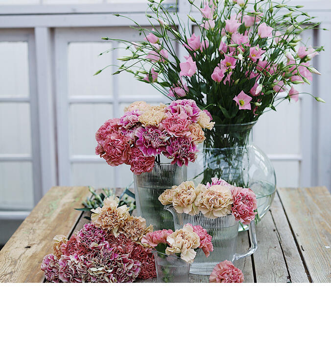 V&aring;rblomster<br/> &ndash; fargerike gledesspredere