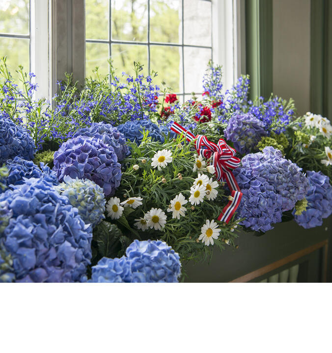 De fineste snittblomstene<br/> til 17. mai
