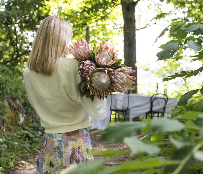 Vakre og glade sommerblomster